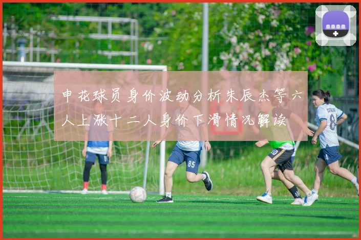 申花球员身价波动分析朱辰杰等六人上涨十二人身价下滑情况解读